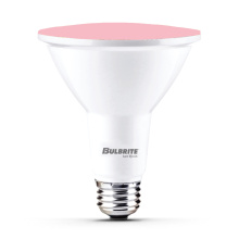 Bulbrite 772504 - LED15PAR38/FL/BLU/D